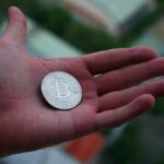 gb76d3d9c969a151a80a992852d4c9e36ede2baf0413027593e6218e616759991247d186544daa9f86ca817cf853067c9f4fcc040c2cdc0f5754bb45a1fab32b6_640